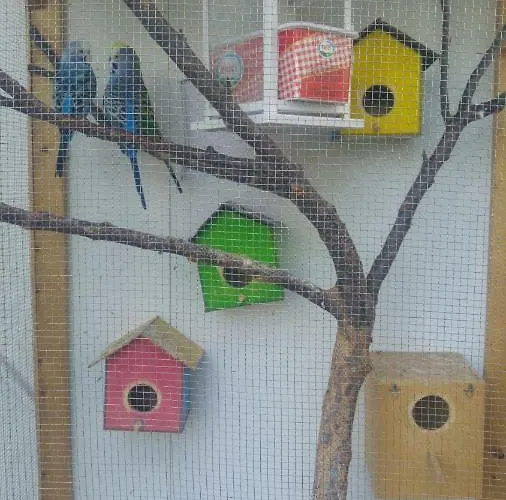 Derin Butik Hotel Siğacık