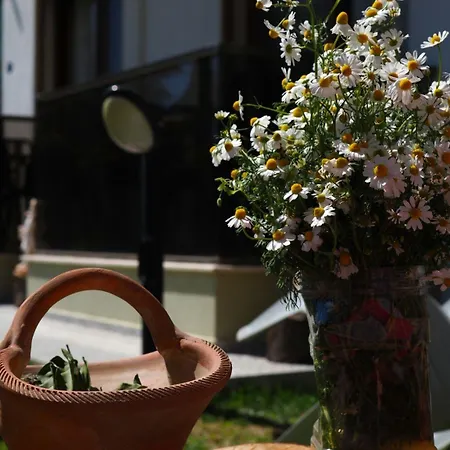 Derin Butik Hotel Siğacık