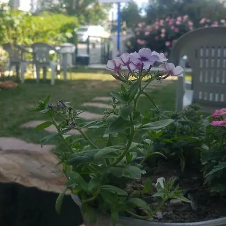 Derin Butik Hotel Siğacık