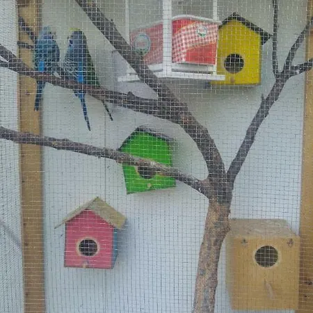 Derin Butik Hotel Siğacık