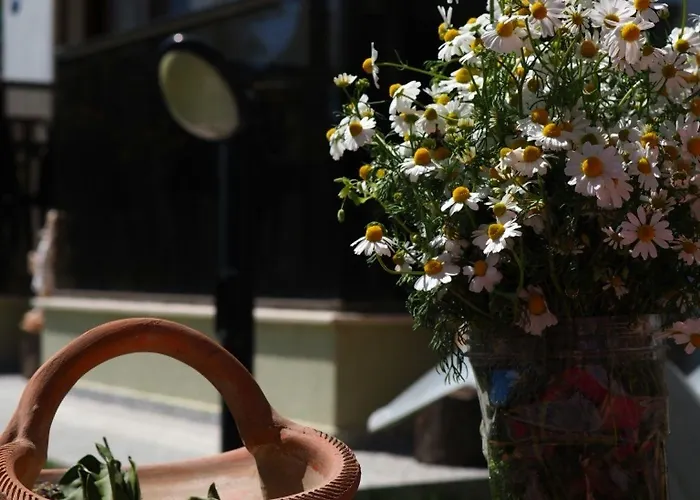 Derin Butik מלון Siğacık